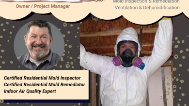 Enhancing Home Comfort Through Mold Removal