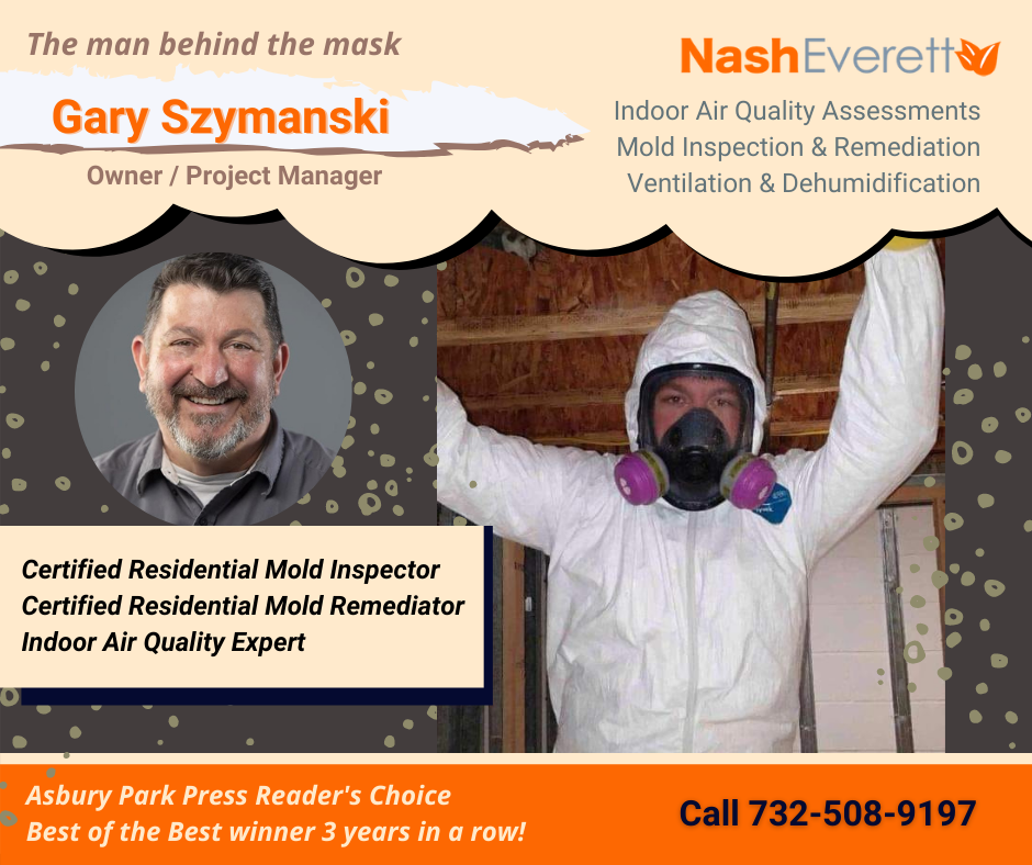 Enhancing Home Comfort Through Mold Removal