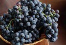 Are Grapes Good For The Health Of Men?