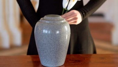 Mysteries revealed The hidden stories behind pet cremation urns!
