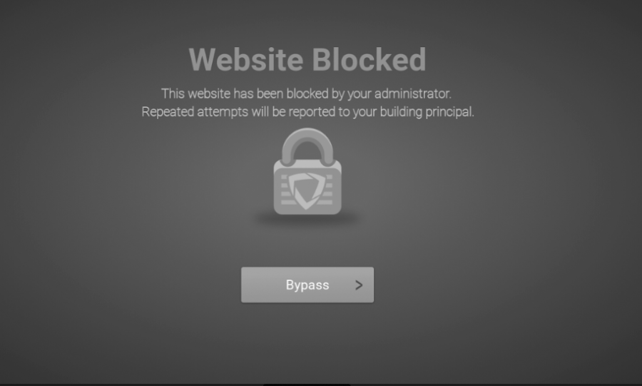 Understanding the Impact of Blocked Websites