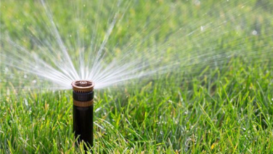 What Are the Steps for a Successful Sprinkler System Install?