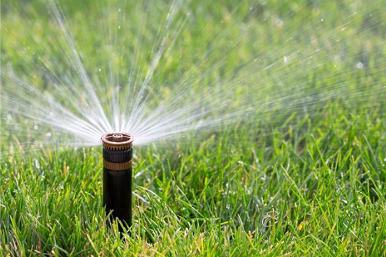 What Are the Steps for a Successful Sprinkler System Install?