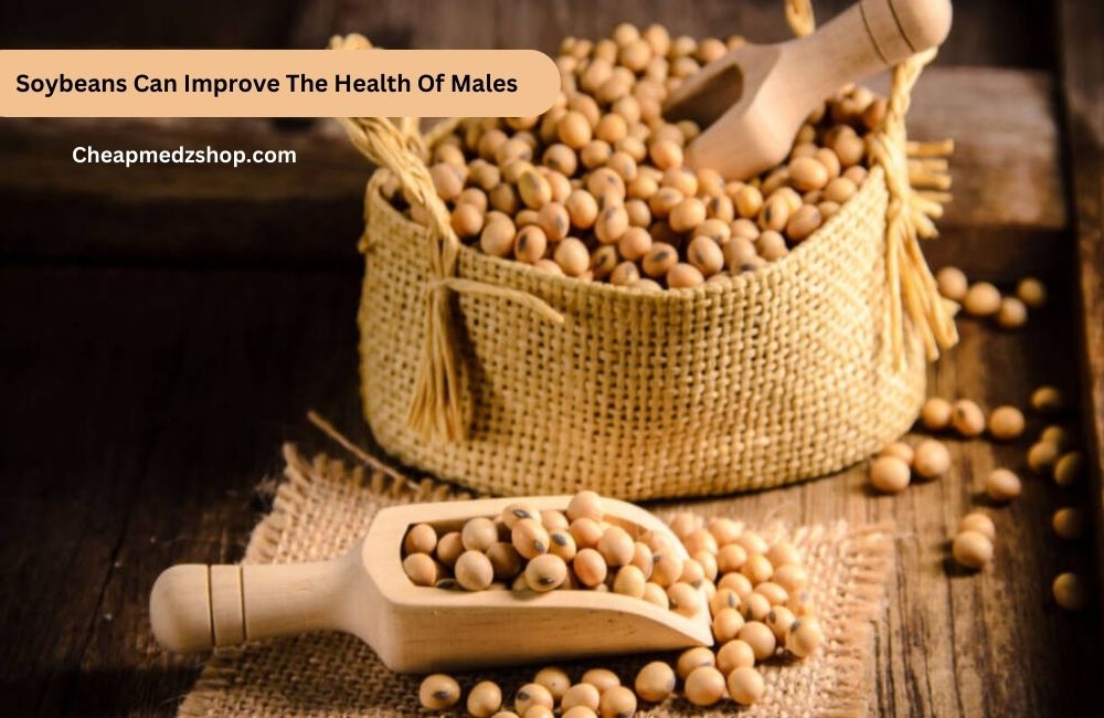 Soybeans Can Improve The Health Of Males