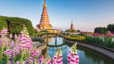 The cost of Thailand Elite Visa