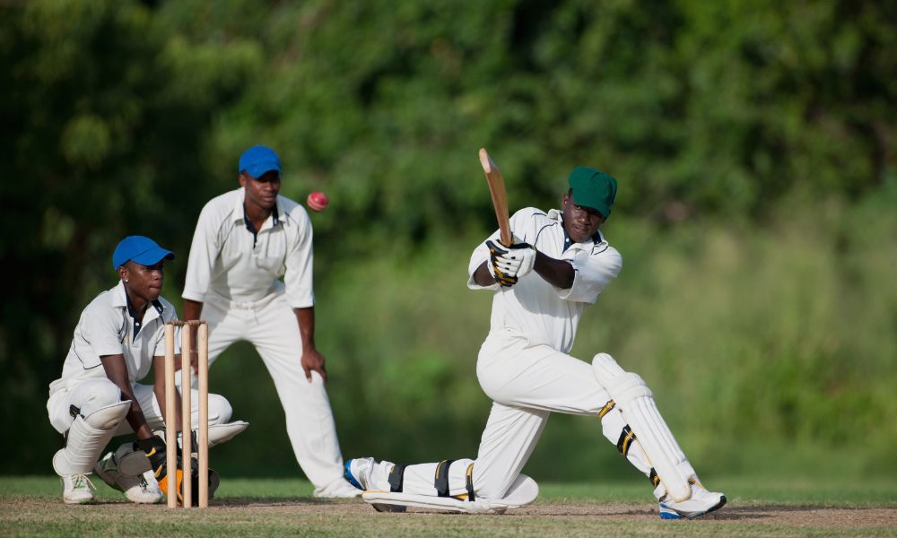 India vs. Australia: A Legendary Cricket Rivalry