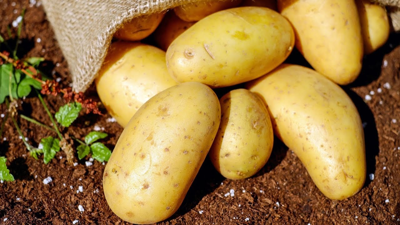 What Are The Medical Benefits Of Potatoes?