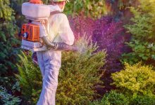 The Essential Characteristics of a Good Pest Control Company