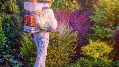 The Essential Characteristics of a Good Pest Control Company