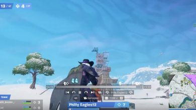 Fortnite Undetected Cheats vs. Risky Cheats: Play Smarter Not Harder