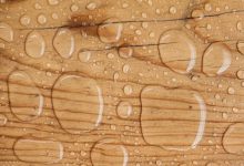 CenturyPly’s Sainik 710 Plywood: Waterproof Your Home
